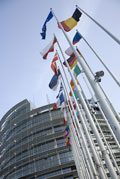 EU-parlamentin helmikuun 2014 täysistunto pähkinänkuoressa