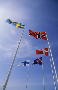 Uusi ohje: Pohjoismainen sopimus veron kannosta ja siirrosta