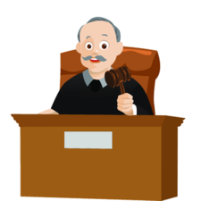 Apulaisoikeuskansleri: Käräjäoikeuksien tuomioiden jakelun viivästyminen (RITU)