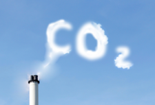 Euroopan komissio antoi asetusehdotuksen hiilenpoistojen sertifioinnista hiilineutraaliuden saavuttamiseksi