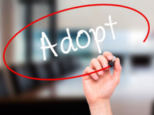 Apulaisoikeuskanslerin sijainen: Adoptiopyynnön käsittely