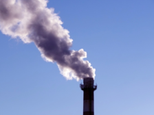 Selvitys: Vapaaehtoisen päästökompensoinnin toimijat haluavat alalle selkeät pelisäännöt
