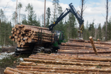 Hallinto-oikeus palautti koronaan liittyvän metsäalan yrityksen kustannustukiasian Valtiokonttoriin