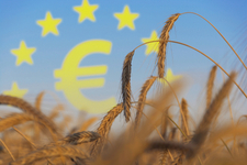 Parlamentti hyväksyi: Euroopan yhteisen maatalouspolitiikan uudistus tarkoitus saada voimaan vuoden 2023 alusta