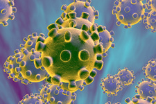 Uusi koronavirus lisätään yleisvaarallisten tartuntatautien joukkoon – tavoitteena estää taudin leviäminen