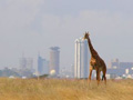 Nairobin ilmastokokous päättyi varsin laihoin tuloksin