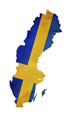 EIT: Ruotsalaisissa muutoksenhakuasteissa ei tarvinnut järjestää suullista käsittelyä
