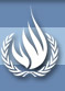 YK:n ihmisoikeustoimikunnan erityisraportoija Scheinin esitteli ensimmäisen raporttinsa YK:n yleiskokoukselle