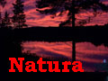 Natura 2000 -ministerityöryhmä hyväksyi verkostoon tehtävät täydennykset