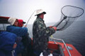 Laki merellä toimivien kalastus- ja vesiviljelyalusten rekisteröinnistä voimaan vuoden 2011 alusta